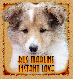 Rus Marlins Instant Love