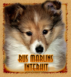 Rus Marlins Interhit