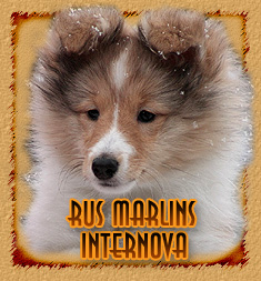 Rus Marlins Internova