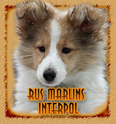 Rus Marlins Interpol