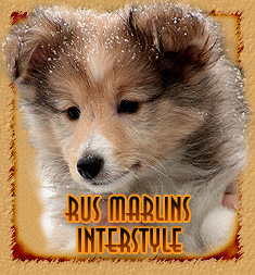 Rus Marlins Interstyle