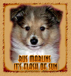 Rus Marlins It's Flash of Sun