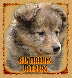 Rus Marlins Jamburg
