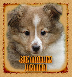 Rus Marlins Jasmina
