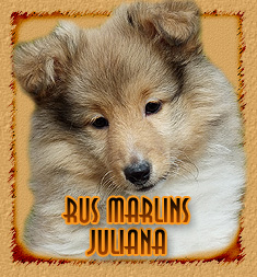 Rus Marlins Juliana