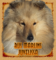 Rus Marlins Juvelissa