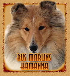 Rus Marlins Kamanna