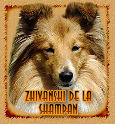 Zhivanshi de la Shampan