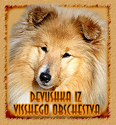 Devushka Iz Visshego Obschestvа
