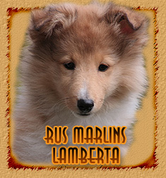Rus Marlins Lamberta