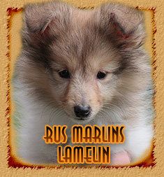 Rus Marlins Lamelin