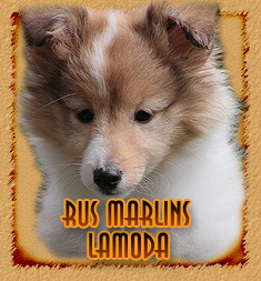 Rus Marlins Lamoda