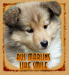 Rus Marlins Like Smile