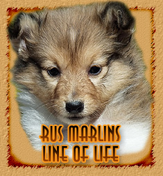 Rus Marlins Line Of Life
