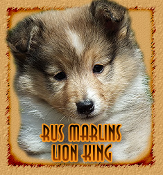 Rus Marlins Lion King