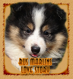 Rus Marlins Love Story
