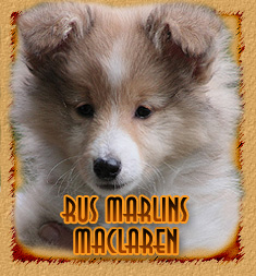 Rus Marlins Maclaren
