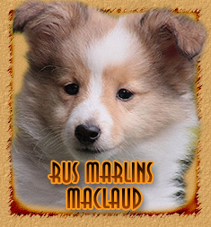 Rus Marlins Maclaud