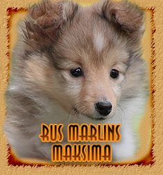 Rus Marlins Maksima