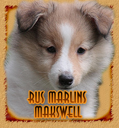 Rus Marlins Makswell