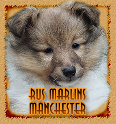 Rus Marlins Manchester