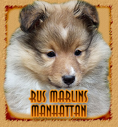 Rus Marlins Manhattan