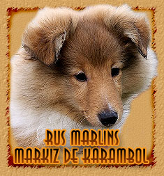 Rus Marlins Markiz De Karambol