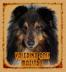 Valerina Ross Maestro