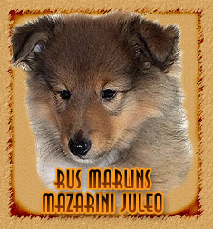 Rus Marlins Mazarini Juleo
