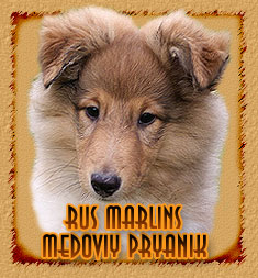 Rus Marlins Medoviy Pryanik