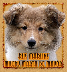 Rus Marlins Miledy Marta De Mayor