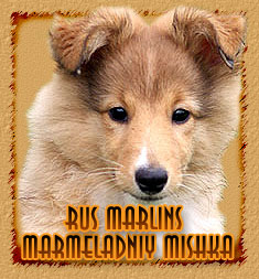 Rus Marlins Marmeladniy Mishka