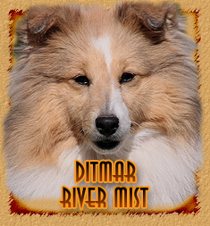 personal page Ditmar River Mist