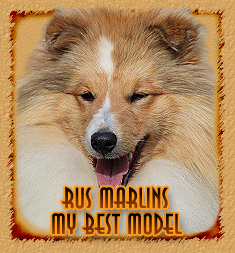 Rus Marlins  My Best Model