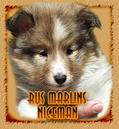 Rus Marlins Niceman