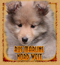 Rus Marlins Nord West