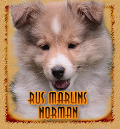 Rus Marlins Norman