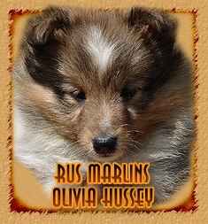 Rus Marlins Olivia Hussey
