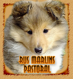 Rus Marlins Pastoral