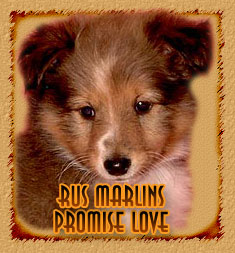 Rus Marlins Promise Love