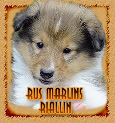 Rus Marlins Riallin