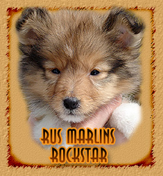 Rus Marlins Rockstar