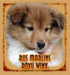 Rus Marlins Roxy Winx