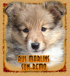 Rus Marlins Sun-Remo