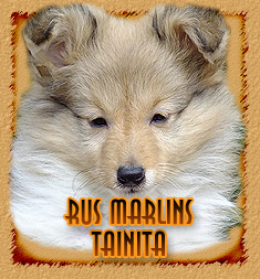 Rus Marlins Tainita