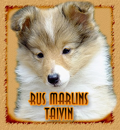 Rus Marlins Taivin