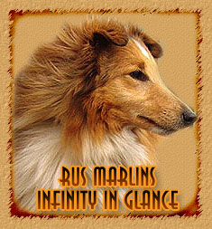 Rus Marlins Infinity In Glance