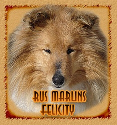 Rus Marlins Felicity