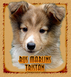 Rus Marlins Tristan