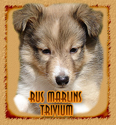 Rus Marlins Trivium